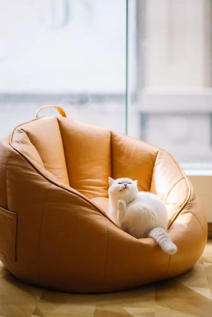 Poufs haut de gamme