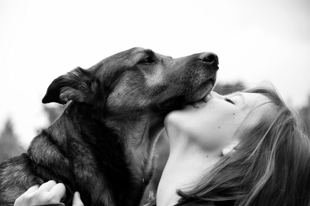 Ce geste discret de votre chien peut révéler un problème de santé chez vous
